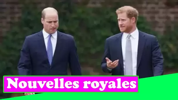 Harry devrait trier la querelle entre Charles et William et rencontrer sa famille, disent les Britan