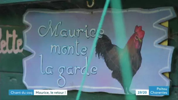 Ild'Oléron : présentation de Maurice 2, nouvel icône de la ruralité ?