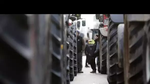 Colère des agriculteurs sur le Vieux continent