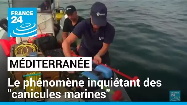 La Méditerranée en surchauffe : le phénomène des "canicules marines" inquiète les scientifiques