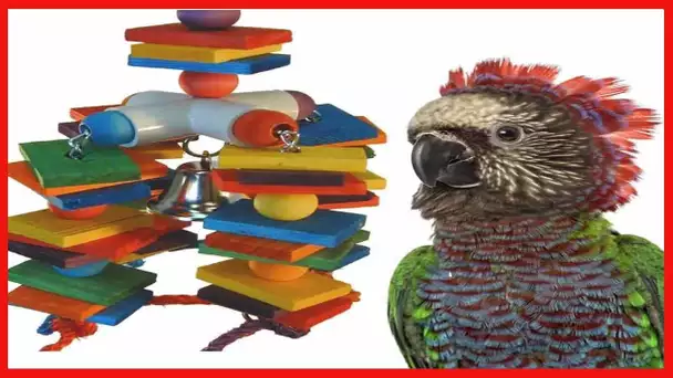 Super Bird Creations SB440 4 Way Play Bird Toy with Colorful Wooden Blocks & Ringing Bell, Large