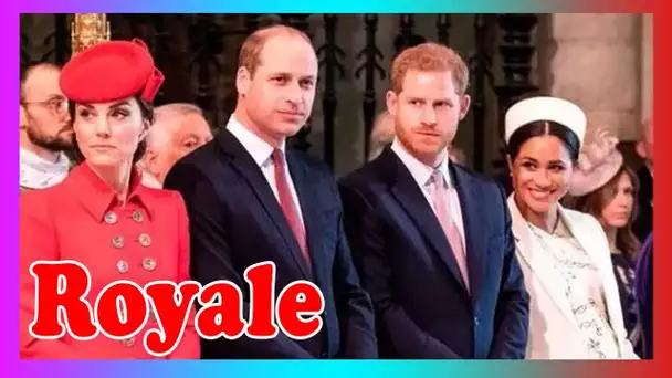 Meghan et Harry veulent voir Kate et William aux États Unis