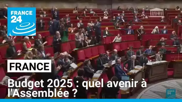 Budget 2025 : quel avenir à l'Assemblée ? • FRANCE 24