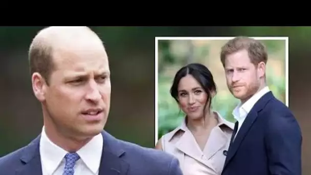 Prince Harry et Meghan  : le duc manquera le rôle de « principal conseiller » du prince William