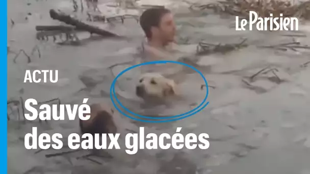 La police sauve un chien tombé dans l'eau glacée