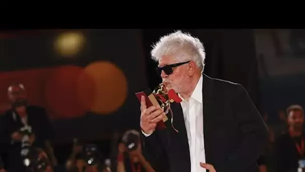 Festival du film de Venise 2024 : Pedro Almodóvar remporte le Lion d'or de la 81ᵉ édition