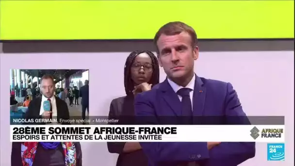 Sommet Afrique-France : démocratie, entrepreneuriat, culture et sport au programme • FRANCE 24