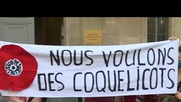 En France, la pétition « des coquelicots » contre les pesticides remise au gouvernement