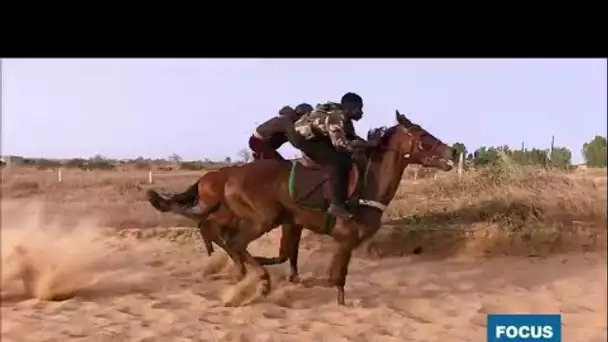 Sénégal : les courses hippiques, une passion qui attire les jeunes