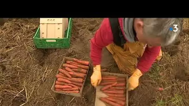 Fête du terroir de Creances 10-07-19- les producteurs restent amers