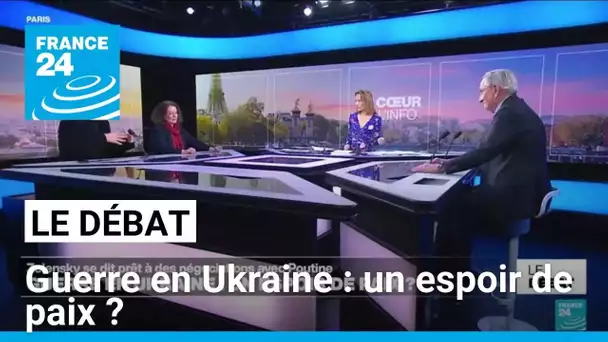 Guerre en Ukraine : un espoir de paix ? • FRANCE 24