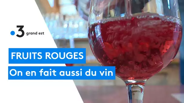 Fabrication de vins de fruits rouges dans les Vosges