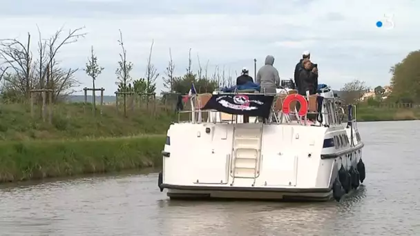 Canal du Midi : où en est la replantation des arbres ?