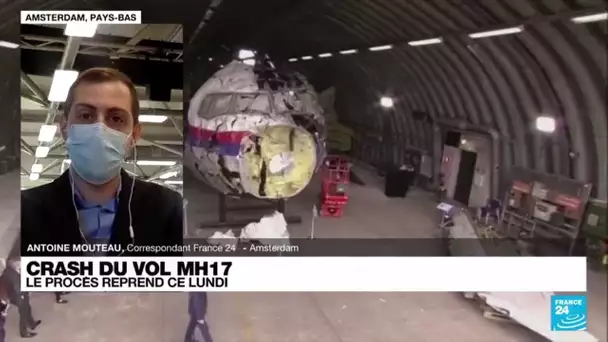 Crash du vol MH17 : les familles des victimes se préparent à la reprise du procès