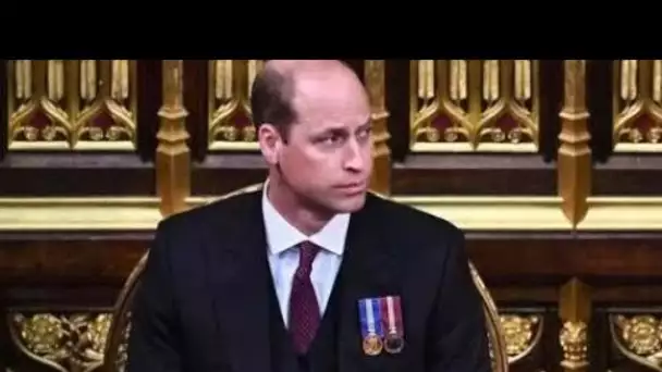 "L'homme invisible" William coupe une silhouette "très sombre" au discours de la reine avec une "pos