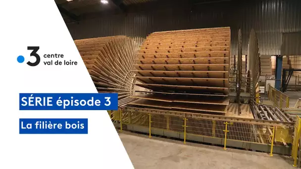 La filière bois : l'usine unique en France à Sully-sur-Loire qui répond aux enjeux environnementaux