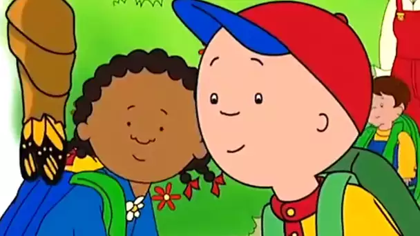 Caillou et les Insectes | Caillou en Français