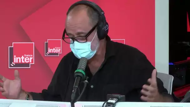 Des députés proposent de classer le chat comme espèce nuisible ! La chronique de Daniel Morin