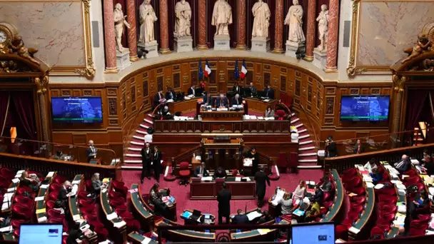 Loi immigration : le Sénat se penche sur les régularisations, après avoir supprimé l'AME