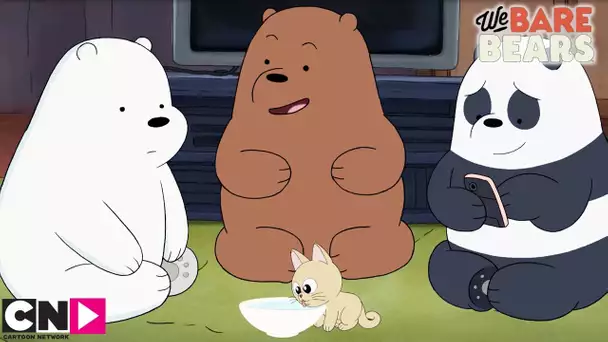 Le Chaton | We Bare Bears | Cartoon Network