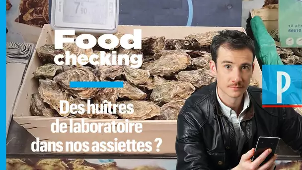 Des huîtres de laboratoire dans nos assiettes ?