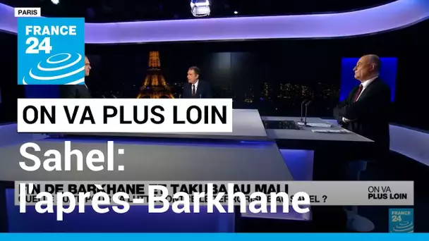 Sahel: l'après-Barkhane • FRANCE 24