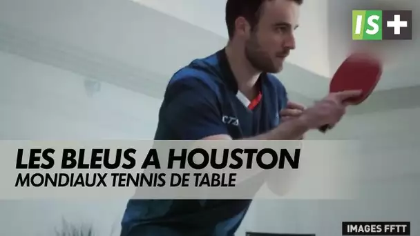 Les Bleus veulent confirmer à Houston