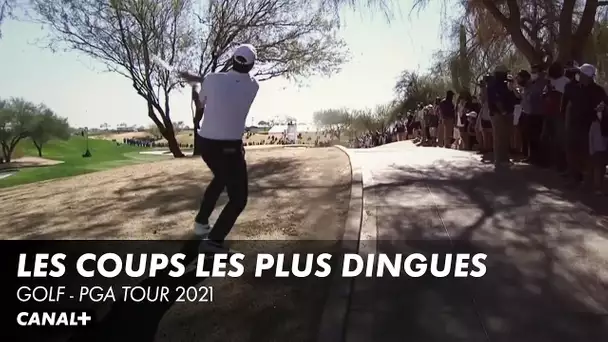 Best of des coups les plus dingues - PGA Tour 2021