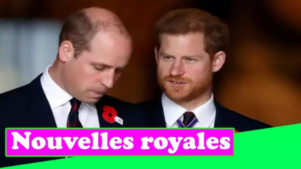 La querelle entre le prince Harry et William – comment cela a commencé, les conseils «énervants» de