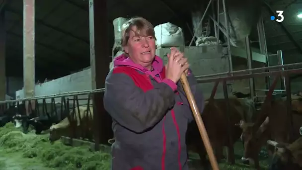 Les Néerlandais en Franche-Comté : la ferme de Saskia et Aldert (1/4)