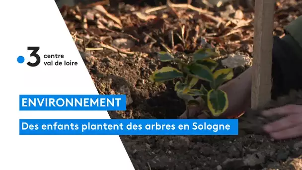 En Sologne, des enfants participent à la plantation d'arbres