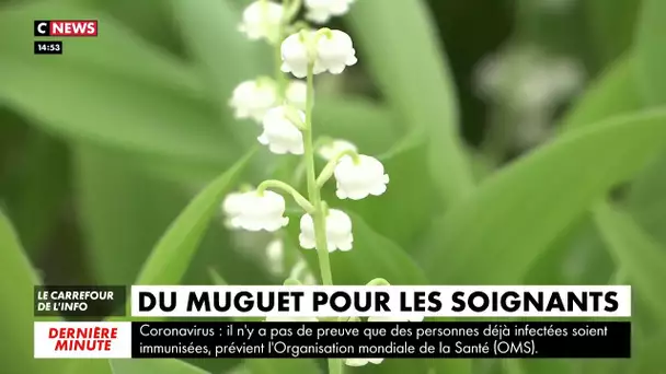 1er mai : du muguet solidaire pour les soignants