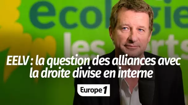 Municipales : la question des alliances avec la droite fait des remous chez EELV