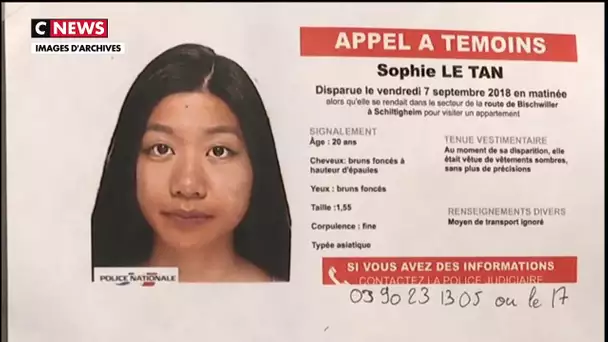 Alsace : le corps démembré retrouvé en forêt est celui de Sophie Le Tan