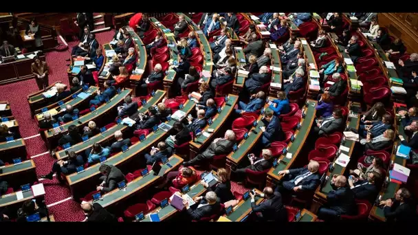 Réforme des retraites : le Sénat vote une pension améliorée pour certaines mères de famille