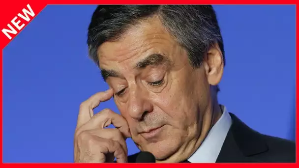 ✅  François Fillon : ce qu’il a dû réapprendre après sa défaite à la présidentielle