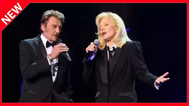 ✅  Sylvie Vartan, la seule femme que Johnny Hallyday “respectait et craignait à la fois”