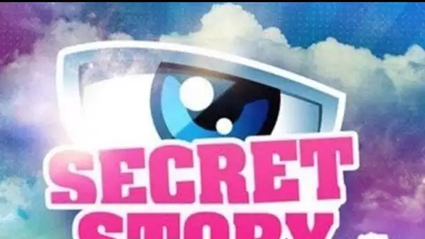 PHOTOS - Chirurgie esthétique : Secret Story : une ancienne star du programme change...