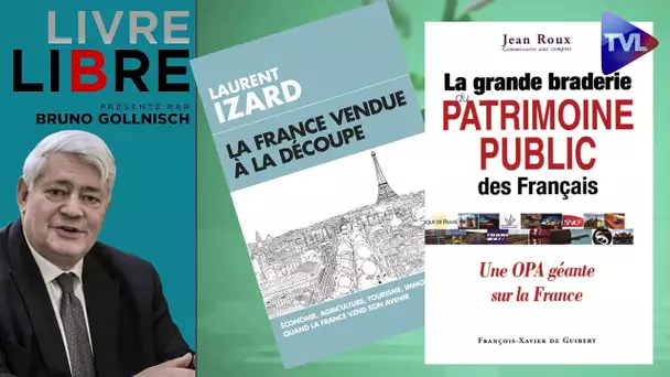 Le patrimoine français livré aux prédateurs - Livre-Libre - TVL