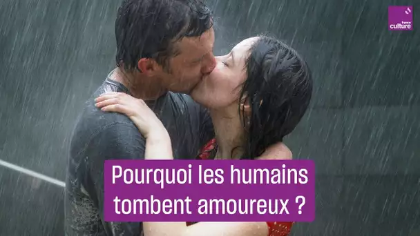 Pourquoi tombe-t-on amoureux ?