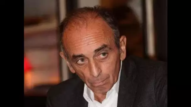 « Pas de fachos à Bordeaux » : le venue d'Eric Zemmour fait polémique