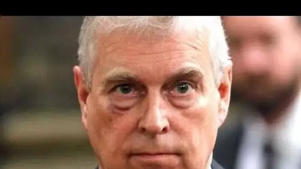 Le prince Andrew a dit de rester à l'écart du public car sa réputation "est irrémédiablement endomma