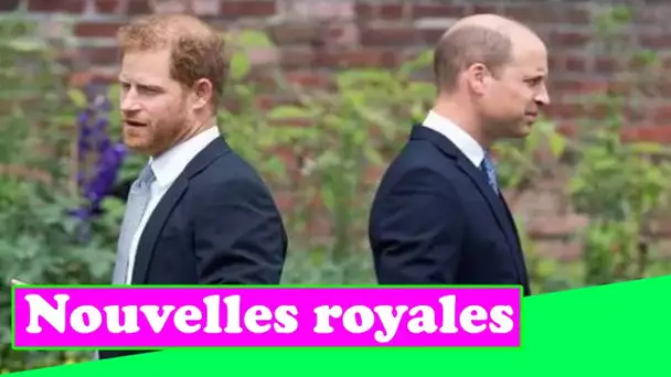 Furious' William 'ne voulait pas voir Harry' à son retour au Royaume-Uni – jusqu'à ce que Kate démén