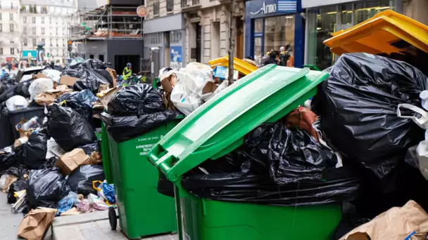 «Une atteinte au droit de grève» : les éboueurs parisiens consternés face aux réquisitions