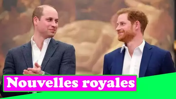 Les tensions entre le prince William et Harry rendront le dévoilement de la statue de Diana «insuppo