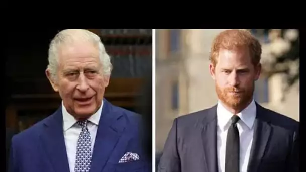 Le prince Harry prévoit d'appeler le roi Charles à Noël après avoir reçu l'ordre de « réparer les dé