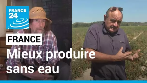 France : des agriculteurs essaient de "mieux produire" avec "moins d'eau" • FRANCE 24