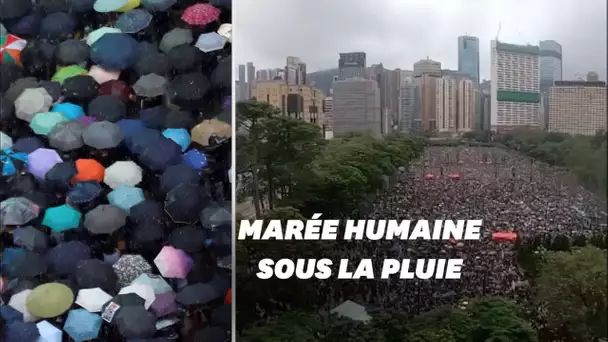 À Hong Kong, marée de parapluies dans les rues contre Pékin