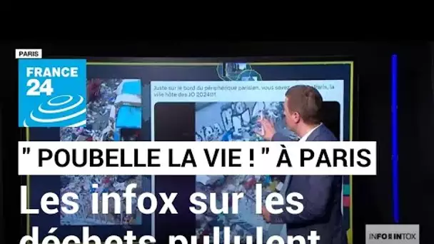 A Paris les déchets s’empilent, les infox pullulent • FRANCE 24