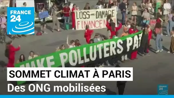 Sommet climat à Paris : des ONG mobilisées pour faire pression sur les dirigeants • FRANCE 24